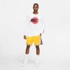 Nike NBA Los Angeles Lakers Icon Basketballshorts