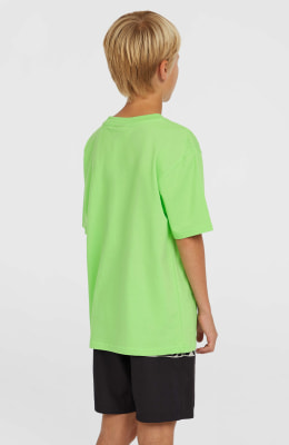 O'Neill Cali Stripe Badeshorts