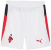 Puma ACM Shorts Replica Fanshort