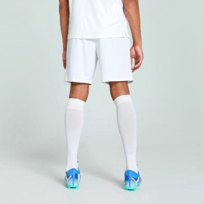 Puma teamGOAL Shorts