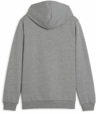 Puma teamGOAL Casuals Hoodie