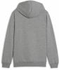 Puma teamGOAL Casuals Hoodie