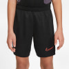 Nike Academy 21 Trainingsshorts