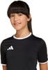 adidas Entrada 26 CLIMACOOL Trikot 
