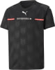 Puma Österreich 20/21 Auswärtstrikot