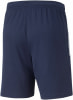 Puma TeamLIGA Fußballshorts