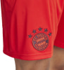 adidas FC Bayern München 24/25 Heimshorts