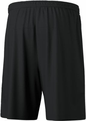 Erima TEAM Shorts