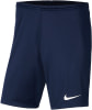 Nike Park III Trainingsshorts