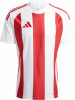 adidas STRIPED 24 JSY Trikot AEROREADY
