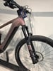Detail der Vorderradaufhängung eines E-Bikes mit Rock Shox Psylo Beschriftung.
