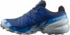 Salomon Speedcross 6 GTX Traillaufschuhe