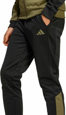 adidas Big Logo Trainingsanzug