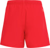 adidas Ess Clx Badeshorts