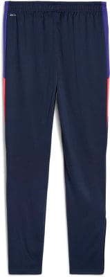 Puma IndividualLIGA Trainingshose