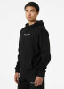 Helly Hansen Core Graphic S férfi kapucnis felső