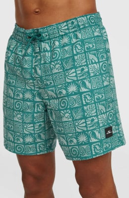 O'Neill Print Badeshorts O'Neill Print Badeshorts