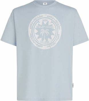 O'Neill Musthave Graphic T-Shirt