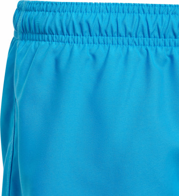 adidas Ess Clx Badeshorts