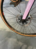 Detail eines Fahrradrades mit Scheibenbremse und pinker Gabel.