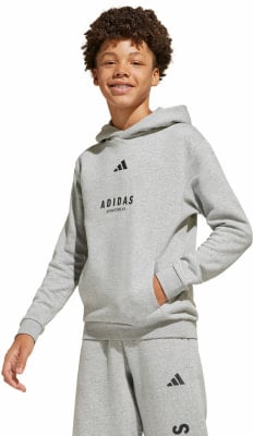 adidas ALL SZN Graphic Hoodie