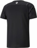 Puma Österreich 20/21 Auswärtstrikot