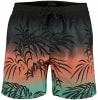 Billabong Faded Palm Badeshorts