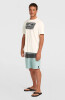 O'Neill Graphic T-Shirt