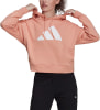 adidas Future Icons Hoodie