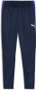 Puma IndividualLIGA Trainingshose