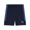 Puma teamLIGA26 Training Short 100%PES, dryCELL