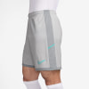 Nike Academy Dri-FIT Shorts