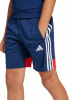 adidas Tiro 25 Essentials Fußballshorts
