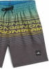 O'Neill Logo Stripe Badeshorts