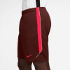 Herren-Shorts in Dunkelrot mit pinkem Streifen und Nike-Logo.