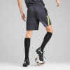 Puma IndividualLIGA Trainingsshorts