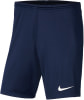 Nike Dri-Fit Park 3 Trainingsshorts