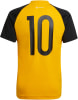 adidas Messi 10 Trainingstrikot