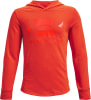 Under Armour Rival Terry Hoodie