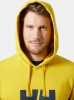 Helly Hansen HH Logo Hoodie férfi kapucnis felső