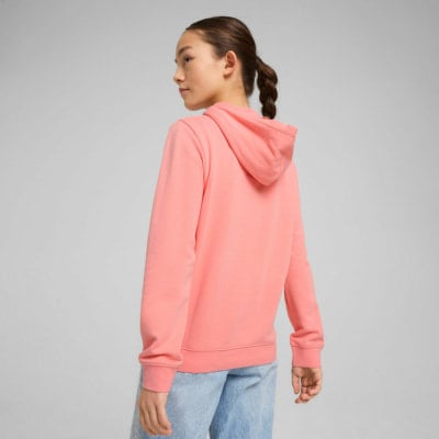Puma Essentials Script Hoodie