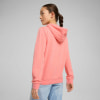Puma Essentials Script Hoodie