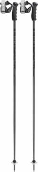 Leki Detect S Skistöcke