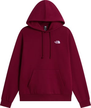 The North Face Evolution Simple Dome Hoodie