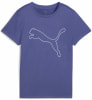 Puma Tad Essential Logo T-Shirt