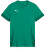 Puma teamGOAL Matchday FB-Trikot