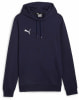 Puma teamGOAL Casuals Hoodie