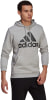 adidas Essentials Fleece Big Logo Hoodie