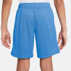 Nike DF HBR Shorts
