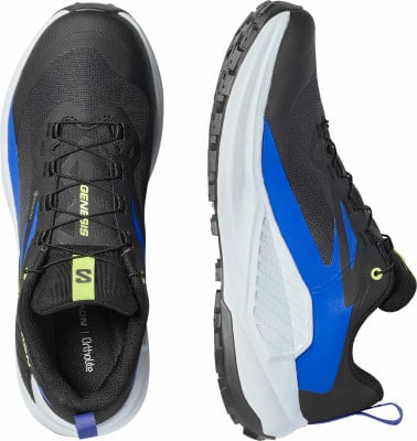 Salomon Genesis GTX Traillaufschuhe